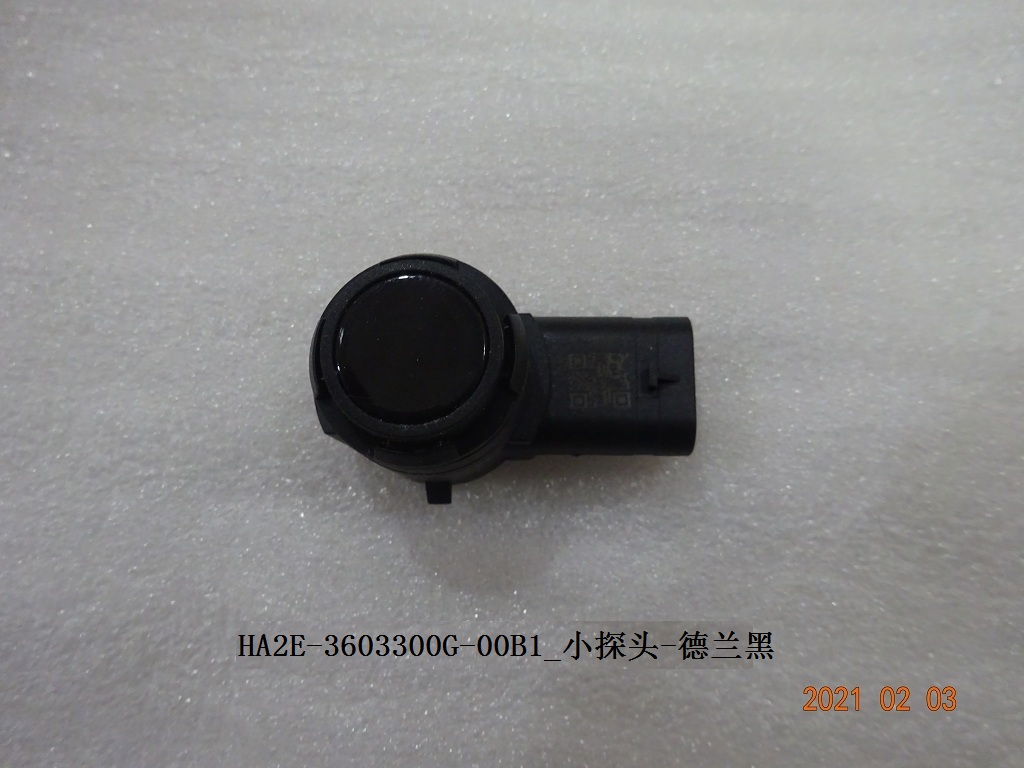 Small Sensor - Delan Black