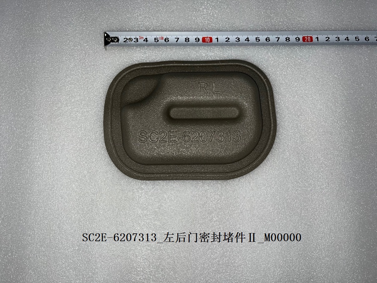 Left rear door sealing plug II