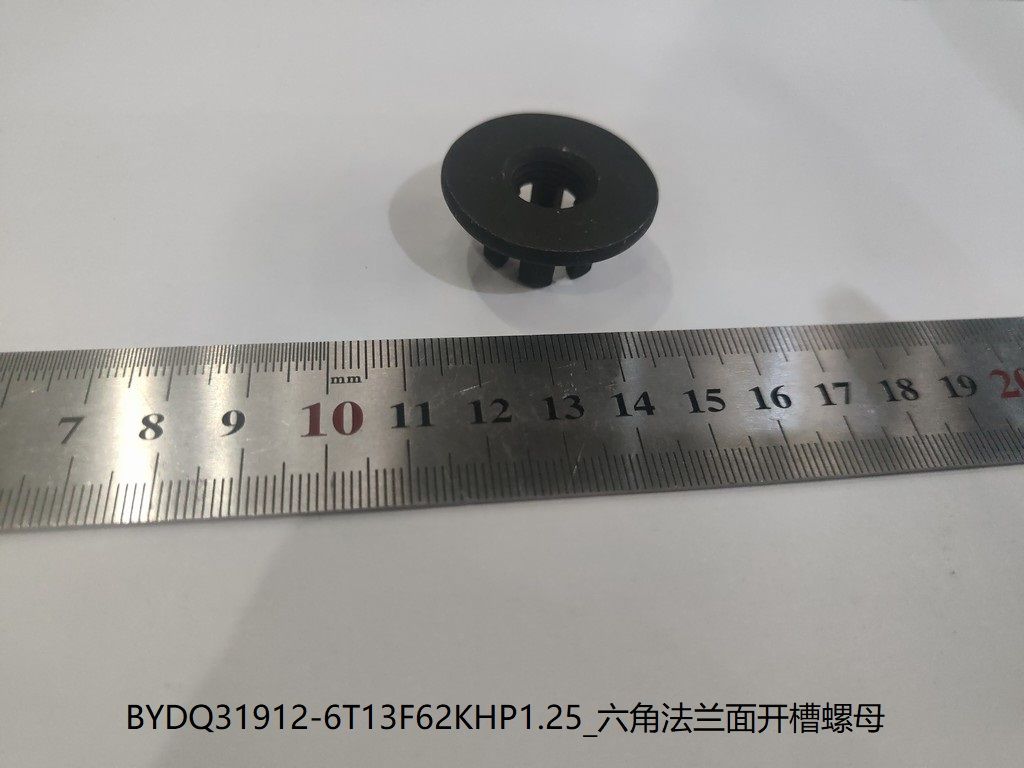 Hex Flange Slotted Nut