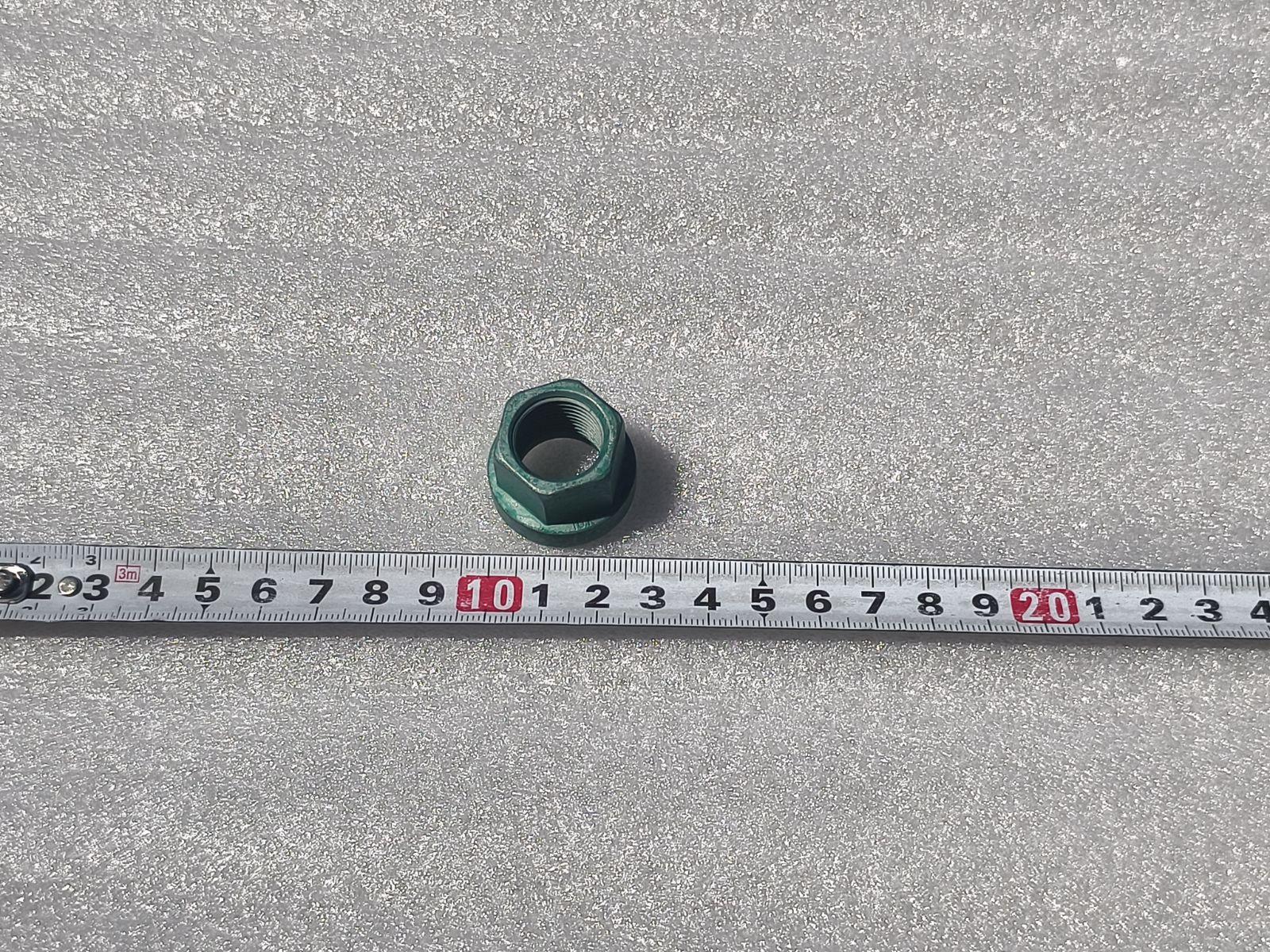 Hexagon Flange Nut